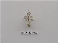 藏品(尺蠖蛾科)的圖片